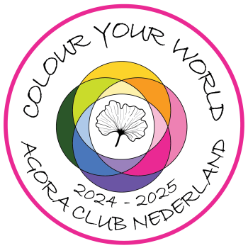 Logo 2024-2025 Colour your world